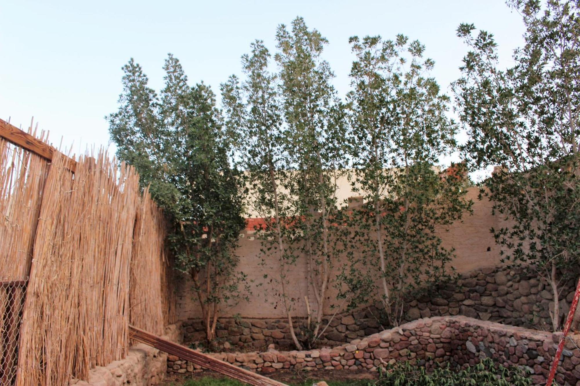 Sinai Old Spices B&B Sharm el-Sheikh Rum bild