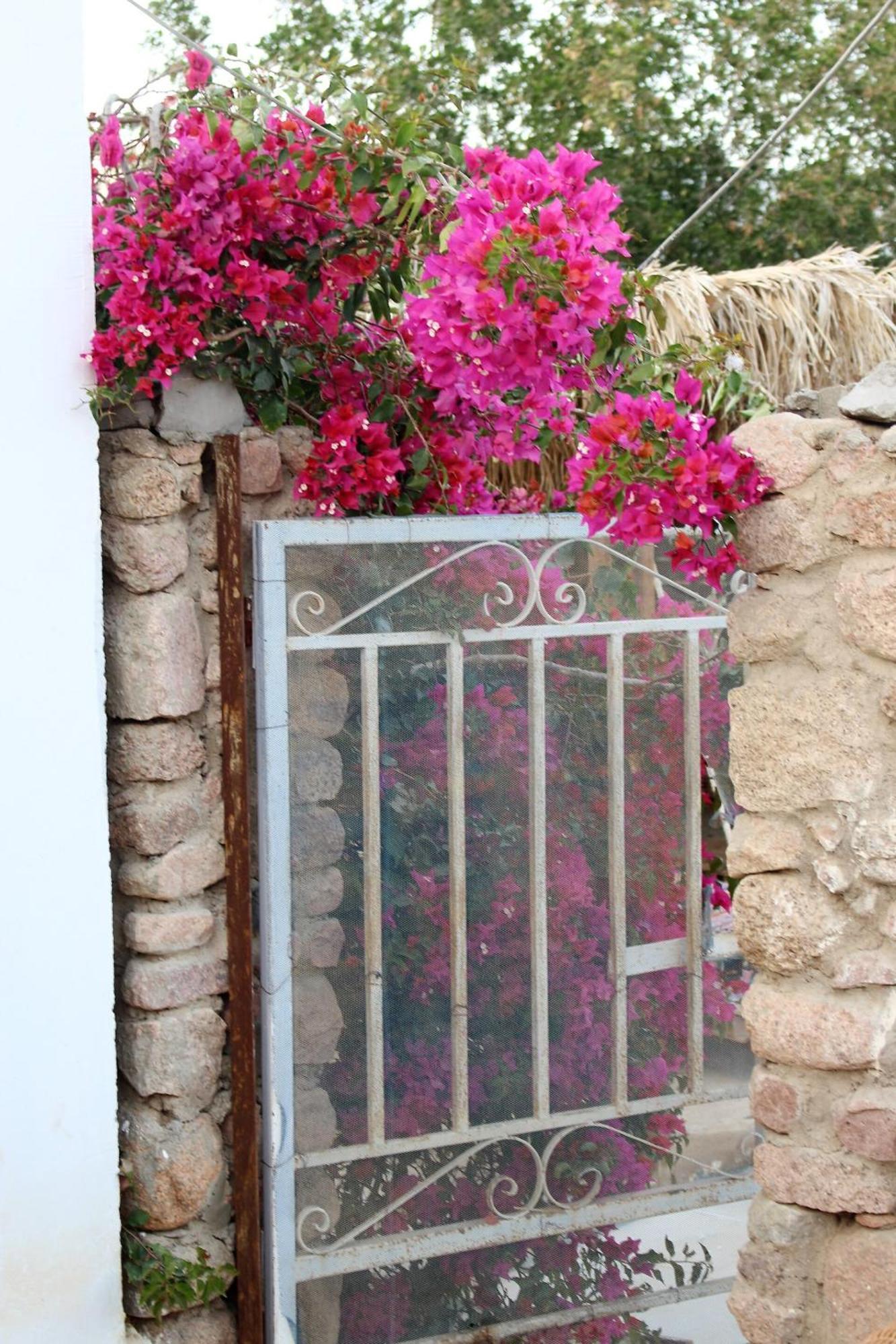 Sinai Old Spices B&B Sharm el-Sheikh Rum bild